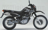 Exhaust Tip Without Sound Certification Paris Dacar Stainless Steel Stainless Steel - Arrow Special Parts Compatible With Yamaha Xt 600 E (1995-2001)
